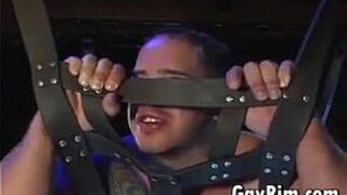 Slave Sucking And Fucking - porn video