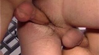 Horny Breeders - porn video