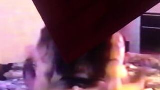 vanesa - porn video